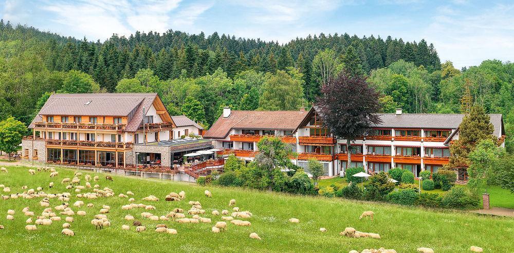 Hotel Gruener Wald Freudenstadt Exteriör bild
